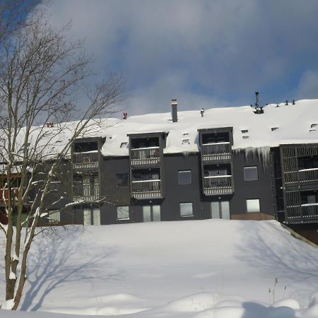 Apartman Honey Dolni Morava Luaran gambar